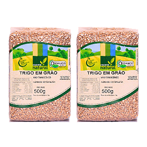 Kit 2 Trigo Em Grãos Orgânico À Vácuo Coopernatural 500 g