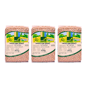 Kit 3 Trigo Em Grãos Orgânico À Vácuo Coopernatural 500 g