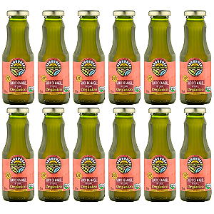 Kit 12 Suco De Maçã Integral Orgânico Organovita 300 ml
