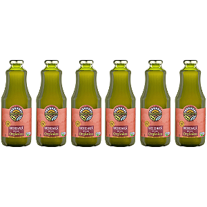 Kit 6 Suco De Maçã Integral Orgânico Organovita 1 L