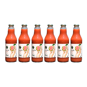 Kit 6 Néctar De Goiaba Orgânico Sáfri 1 L