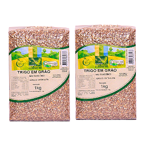 Kit 2 Trigo Em Grãos Orgânico À Vácuo Coopernatural 1 kg