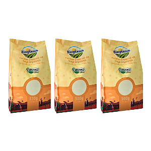 Kit 3 Farinha De Trigo Especial Orgânica Biorgânica 500 g