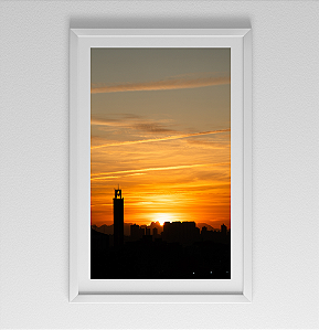 Água verde (retrato)