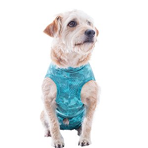 Roupa Pós Cirúrgica Pet Med Regular Dry Light Supreme Verde para Cães