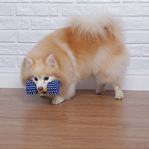 Brinquedo Chalesco Halteres para Cães