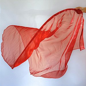 Bandeira de Dança com Haste Flexível Flag- BD001