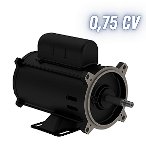MOTOR PARA BOMBA DE PISCINA 3/4CV BIVOLT MONOFÁSICO W48J 110V/220V 0,75CV WEG