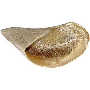 Petisco Mastigaveis Casco Bovino Prediletta 1 Und