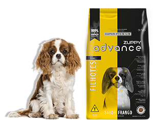 Advance Dog Filh Peq Porte 01kg Fd