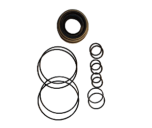 REPARO BOMBA HIDRAULICA HILUX 91 A 04 [BOMBA COM POLIA]