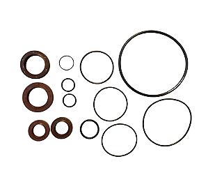 REPARO BOMBA HIDRAULICA LUK BLAZER/ S10 APOS 00 [BOMBA ACOPLADA A BOMBA DE VACUO]