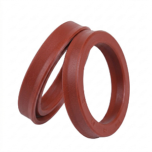GAXETA 20,00x30,00x8,00 UN/CH011 FKM
