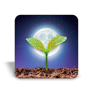 Mini quadro 3D - Linha Cultivar - Luz da Lua