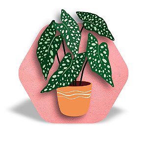 Mini Quadro 3D - Vaso de planta Begônia Maculata