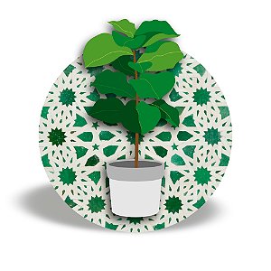 Mini Quadro 3D - Vaso de planta Ficus Lyrata