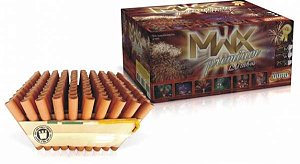 TORTA MWX  premium