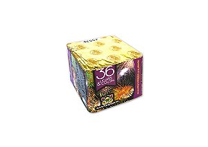 TORTA 36 TBS Lights e Collors