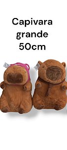 Capivara Filo sensaçao, lotso