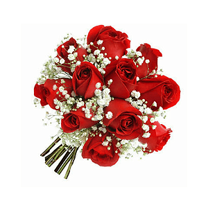 Buquê Amor  12 Rosas