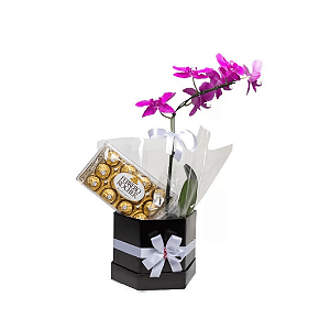 Belissímas Orquídea Phalaenopsis Pink e Ferrero Rocher