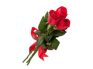 Um Mimo de 3 Rosas