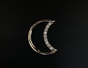 P0527 SEGMENTOTITANIO DAITH LUA CRAVEJADA C/ ZIRCONIA TITANIO 10MM