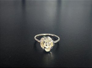P0206  ARGOLA ROSA ROSA