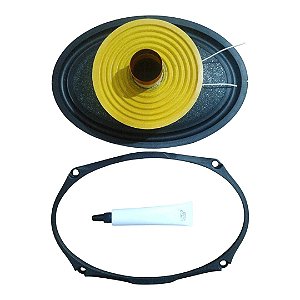 Reparo Alto Falante 6x9 Compatível Pioneer Ts-a6995s