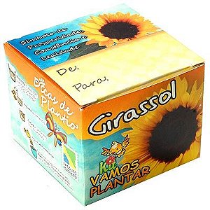 Kit Ecológico Vamos Plantar - Girassol
