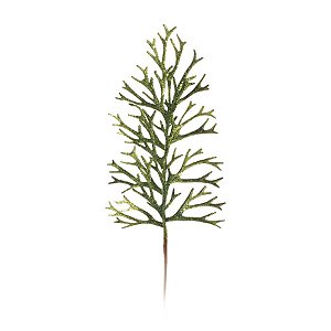 Galho Coral Verde (Galhos Grandes)