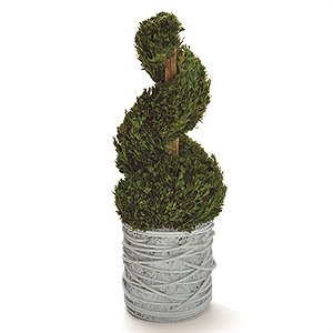 Topiaria em Espiral Verde (Bouquet)