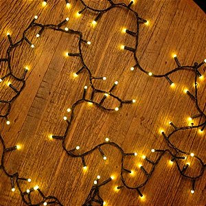 Pisca com 100 Leds Branco Quentes Cordão Verde 120V Macho e Fêmea