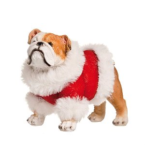Natal Pet - Bulldog com Roupa Vermelho