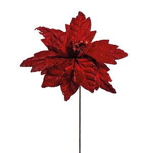Poinsettia Vermelho Cabo Longo - 1 Un