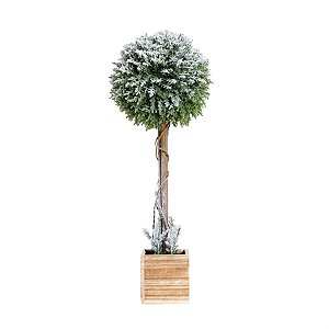 Topiara com Led Nó Cachepot Verde e Branco