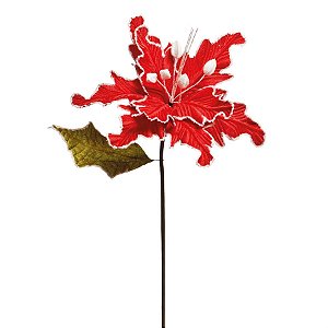 Flor Vermelho (Flores Cabo Médio)