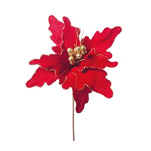 Poinsettia Vermelho e Ouro (Flores Cabo Médio)