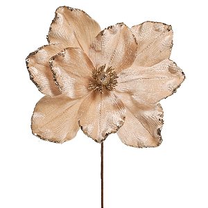 Magnolia Nude (Flores Cabo Médio) - 6 Un