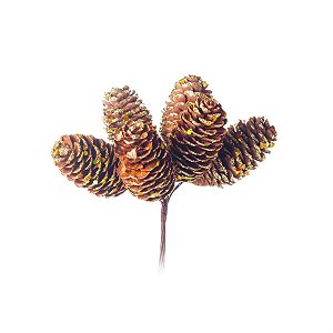 Pick com Pinhas Glitter Marrom (Picks) - 6 Un