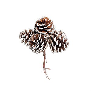 Pick 6 Pinhas Marrom e Branco - 1 Un