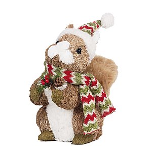 Esquilo com Cachecol e Gorro