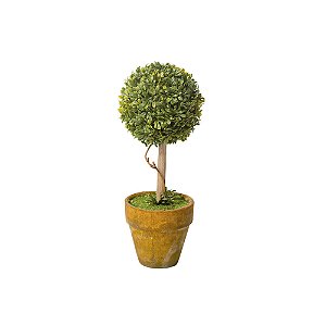 Topiaria Redonda Verde 15cm