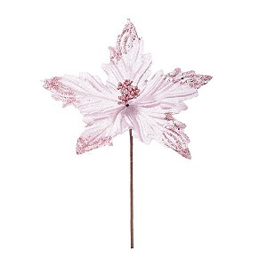 Poinsetia Pétalas Rosa