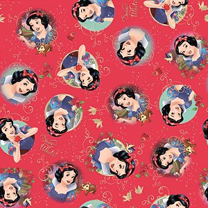 Saco 25X37 Branca de Neve Sonhos - 40 Un