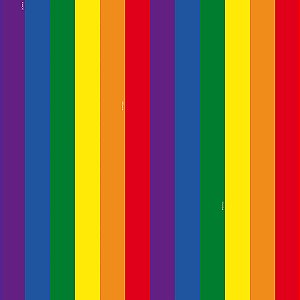 Saco Perolado 30X44 Lgbt - 50 Un