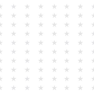 Saco Estrela Branca 25X37cm - 100 Un