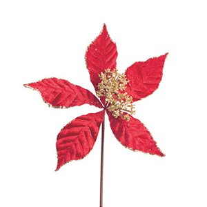 Poinsetia Vermelho Ouro - 1 Un