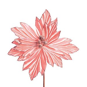 Poinsetia Rose - 1 Un