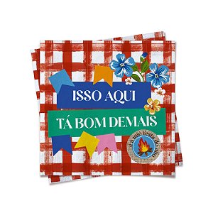 Guardanapo Festa de Arraiá 2024 24,5x24,5 - 20 Un